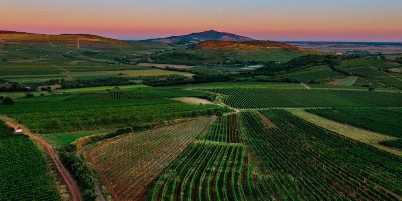 tokaj_borregio_min